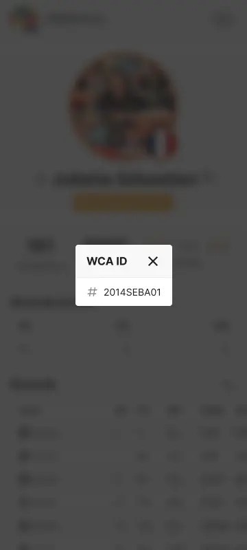 WCA - World Cube Association - Gallery 2