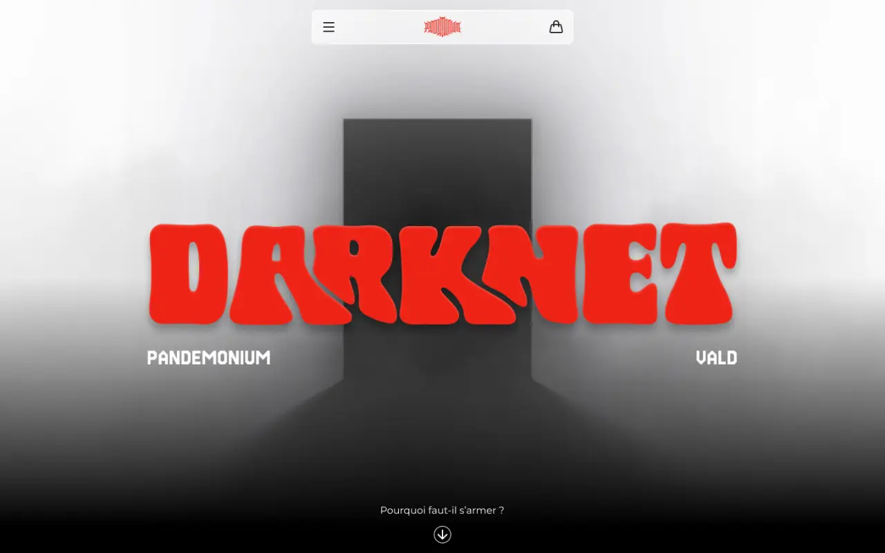 Aperçu du site internet pour Darknet