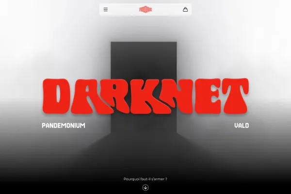 Aperçu du site internet pour Darknet