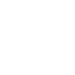 Logo Wizyx