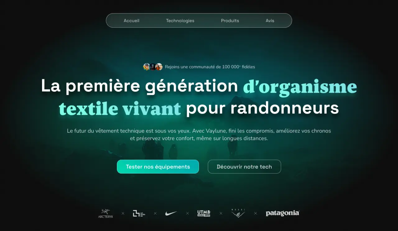 Aperçu du landing page pour Vaylune