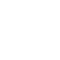 Logo Wizyx